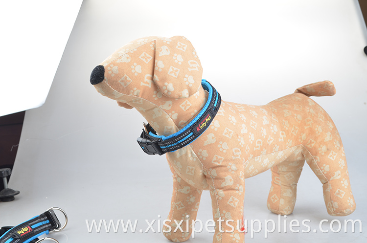 Luxury Silkscreen Logo Dog Collar And Leash Set